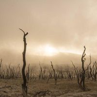 Second Blog Post Fails To Excite